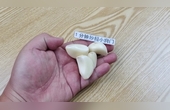 벻ó
